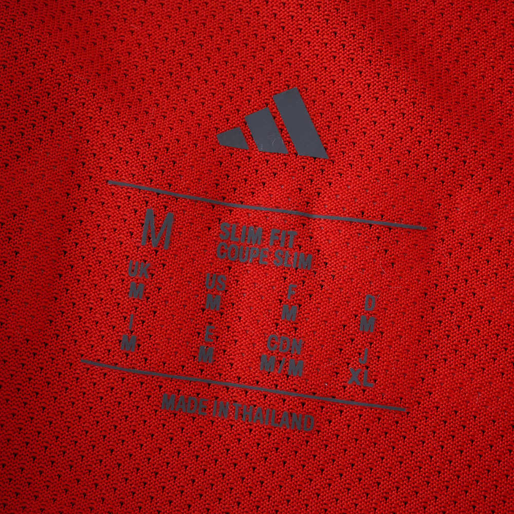 2526 Fußball-Club Bayern München home player version