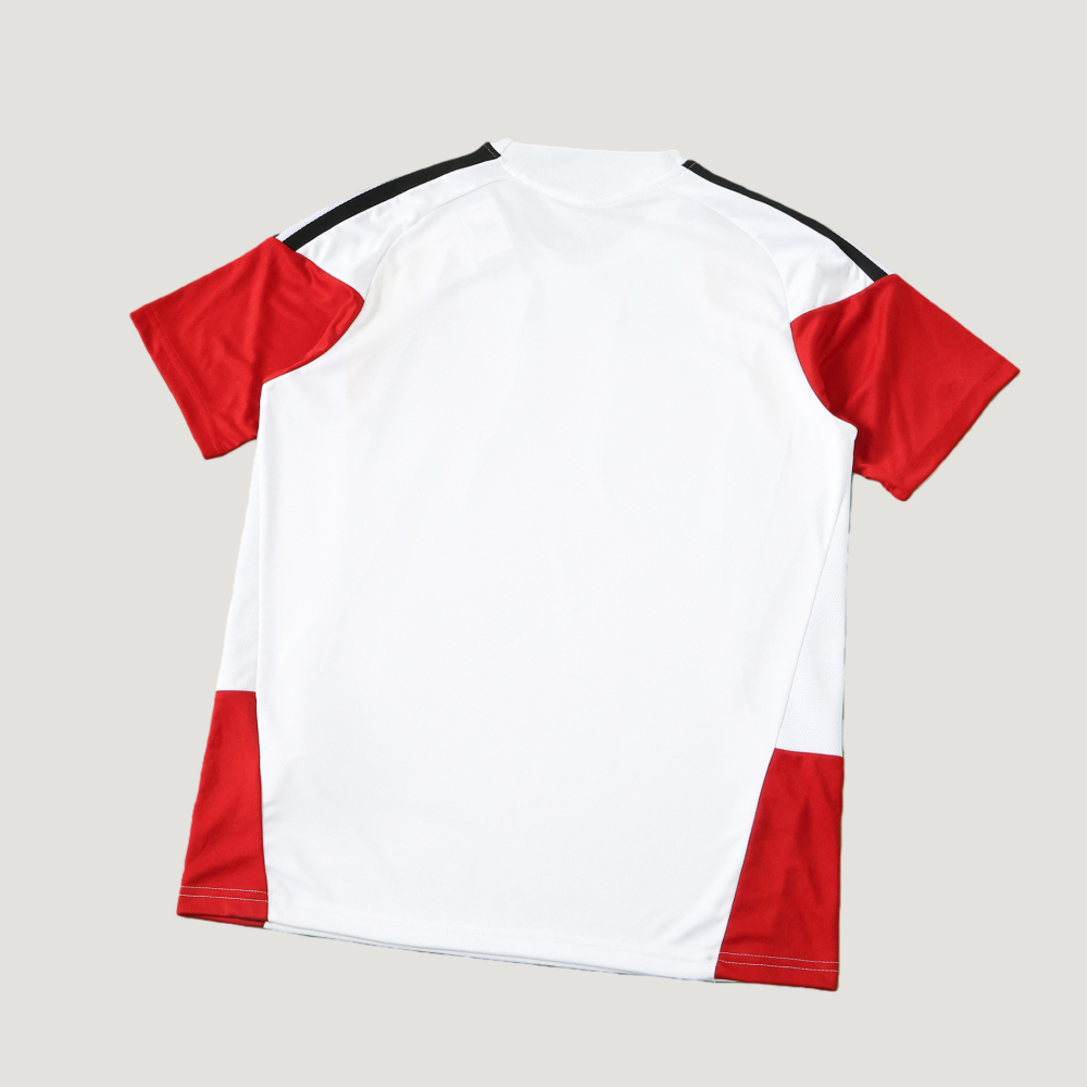 2026 FIFA World Cup Germany Training shirt Fan version
