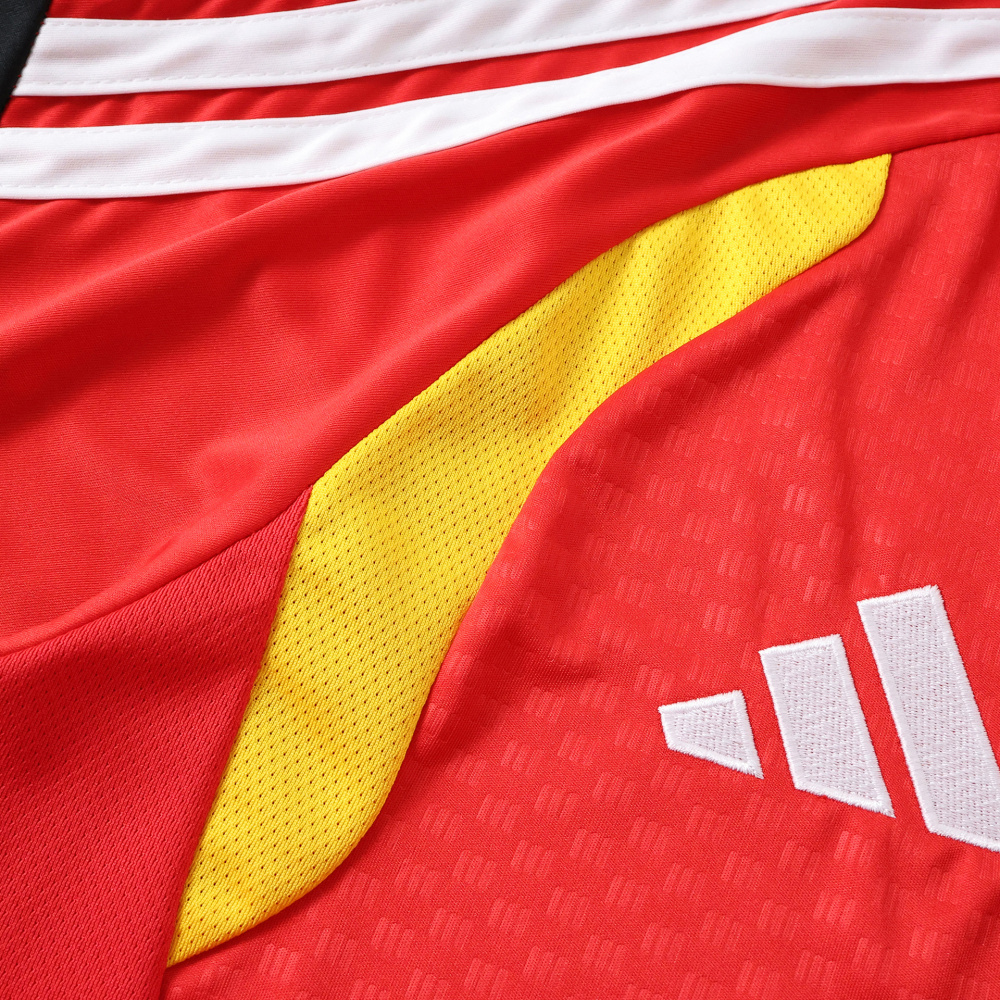 2026 FIFA World Cup Germany Training shirt Fan version