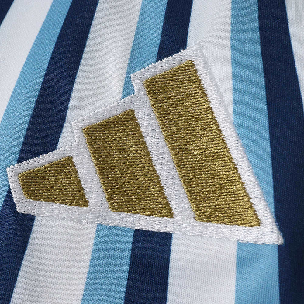 2026 FIFA World Cup Argentina Training shirt Fan version