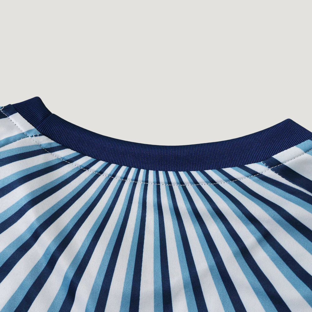 2026 FIFA World Cup Argentina Training shirt Fan version