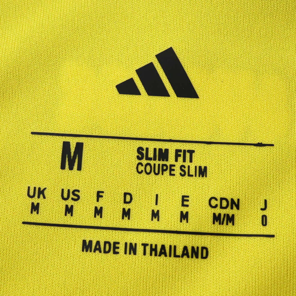 2026 FIFA World Cup Sweden home Fan version