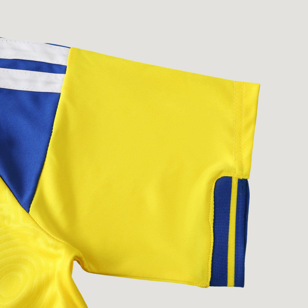 2026 FIFA World Cup Sweden home Fan version