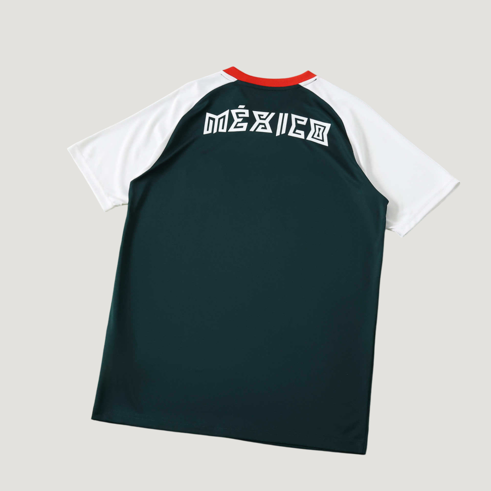 2026 FIFA World Cup Mexico green Training shirt Fan version