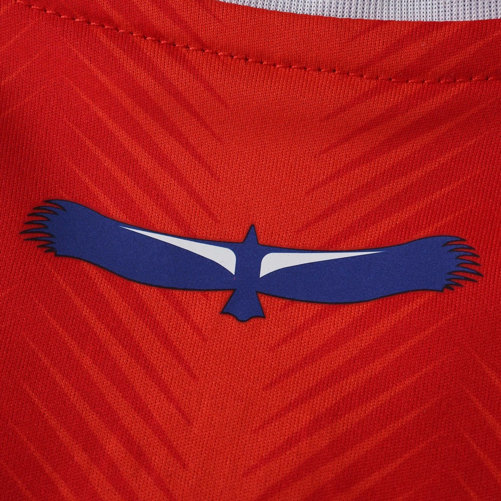 2026 season Chile home Fan version