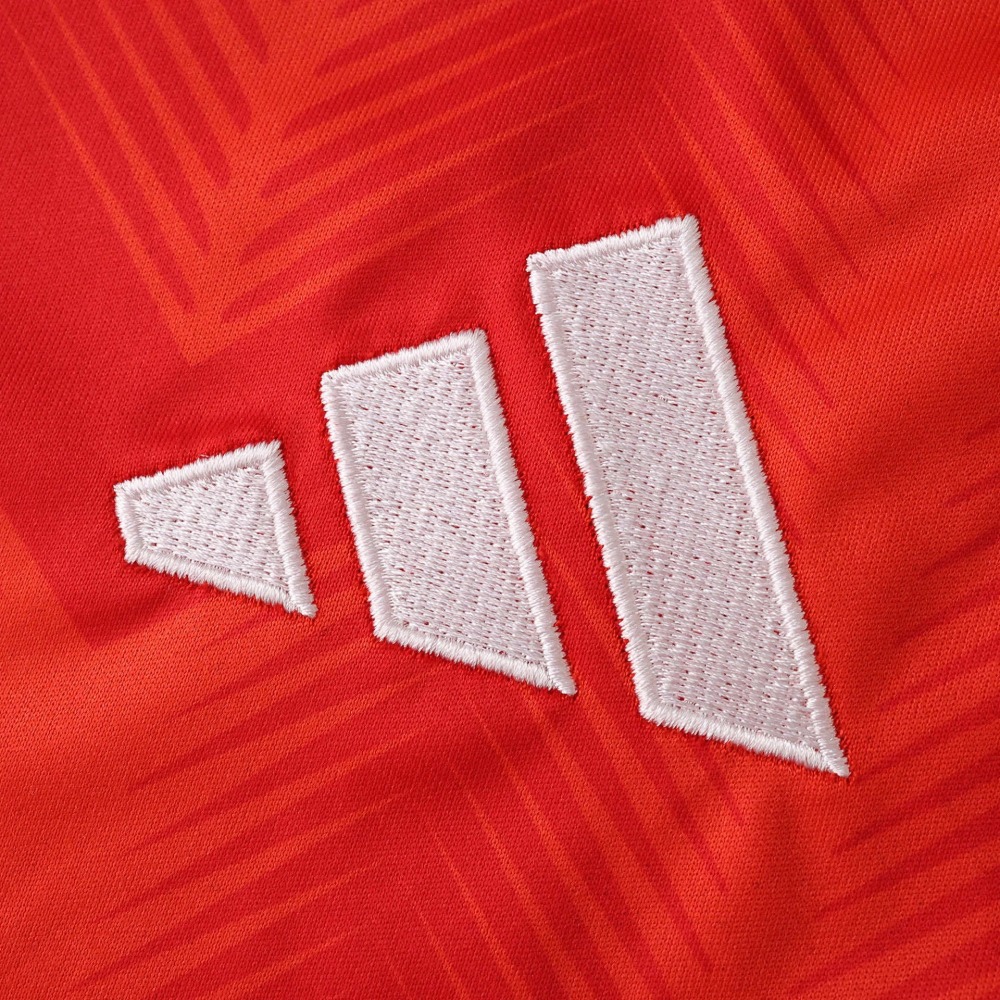 2026 season Chile home Fan version