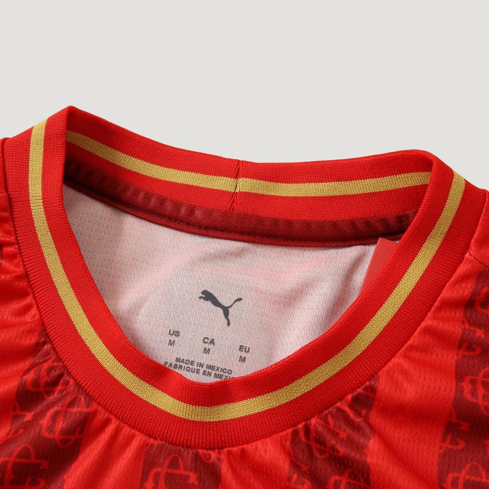 Chivas Guadalajara 2627 Fifth Fan version