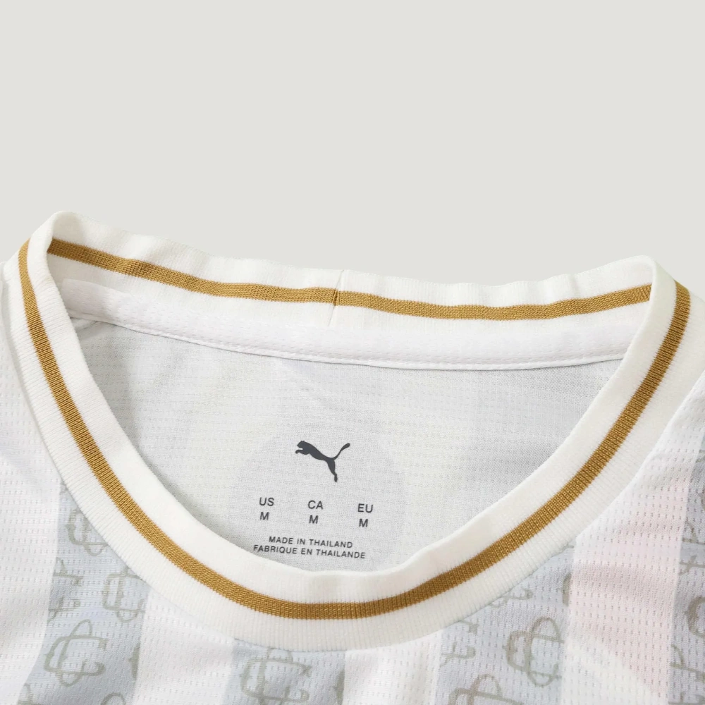 Chivas Guadalajara 2627 Concept Fan version