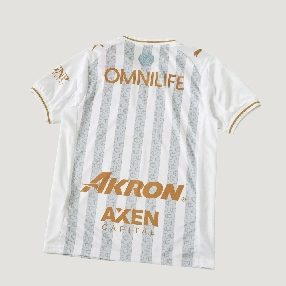 Chivas Guadalajara 2627 Concept Fan version
