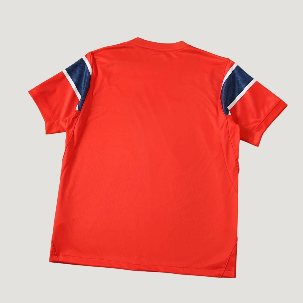 Norway 2026 Home Fan version