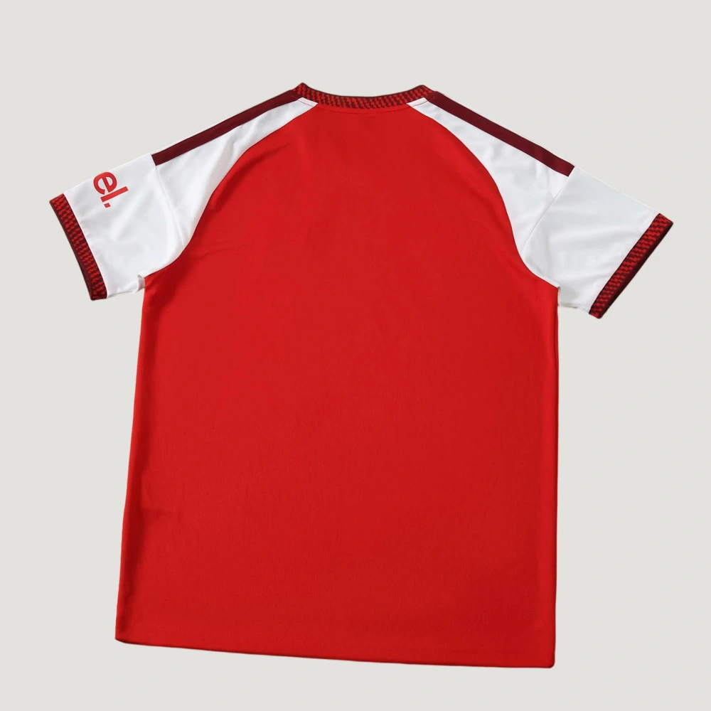 Arsenal F.C. 2627 home Fan version