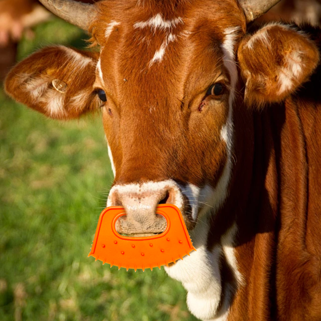 Fan-Shaped Calf Nose Weaner