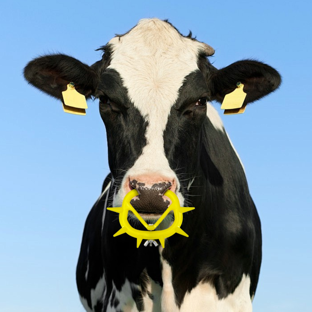 Triangle Design Calf Nose Weaner