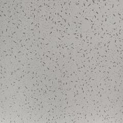 بلاط سقف من الألياف المعدنية بسطح أبيض متشقق ناعم موديل MF 02,أسقف من الألياف المعدنية | بلاط سقف عازل للصوت | ألواح أسمنتية ليفية | مورد صيني لشبكات السقف على شكل حرف T,بلاط سقف من الألياف المعدنية بمقاس 595x595x12 مم مع سطح أبيض متشقق بدقة، طراز MF 02