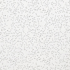 بلاط سقف من الألياف المعدنية بتصميم ثقب الدبوس,أسقف من الألياف المعدنية | بلاط سقف عازل للصوت | ألواح أسمنتية ليفية | مورد صيني لشبكات السقف على شكل حرف T,بلاط سقف من الألياف المعدنية بتصميم ثقب الدبوس