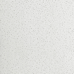 لوح سقف من الألياف المعدنية بتصميم متشقق PM03 (3510),أسقف من الألياف المعدنية | بلاط سقف عازل للصوت | ألواح أسمنتية ليفية | مورد صيني لشبكات السقف على شكل حرف T,لوح سقف من الألياف المعدنية بتصميم متشقق PM03 (3510)