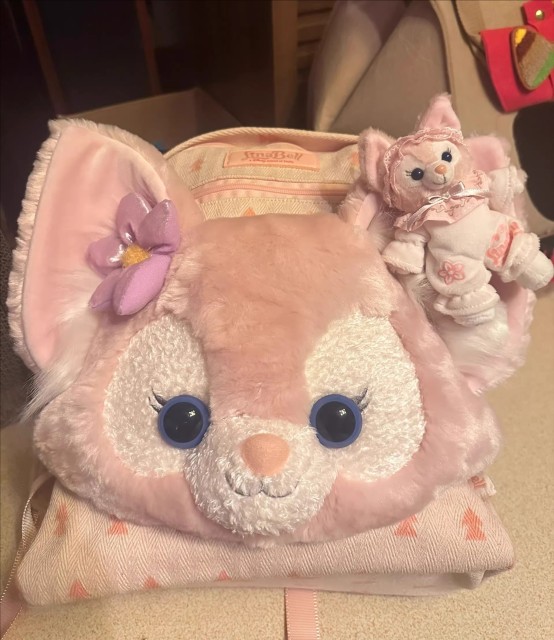 Bag
