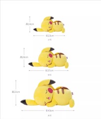 Body Pillow