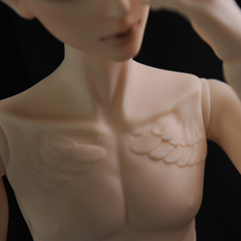 Phenix Body
