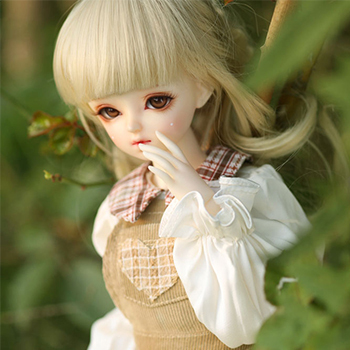 AS1/4 Dawn-Mr. Bear's arrival