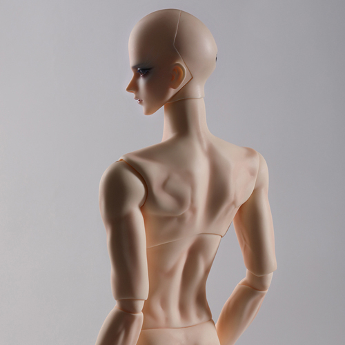 74CM muscle male body