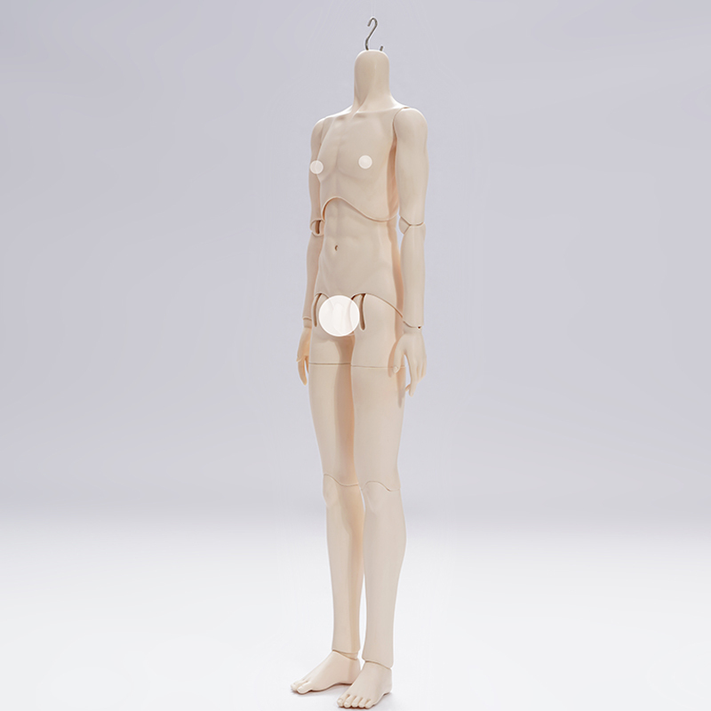 1/3 male body