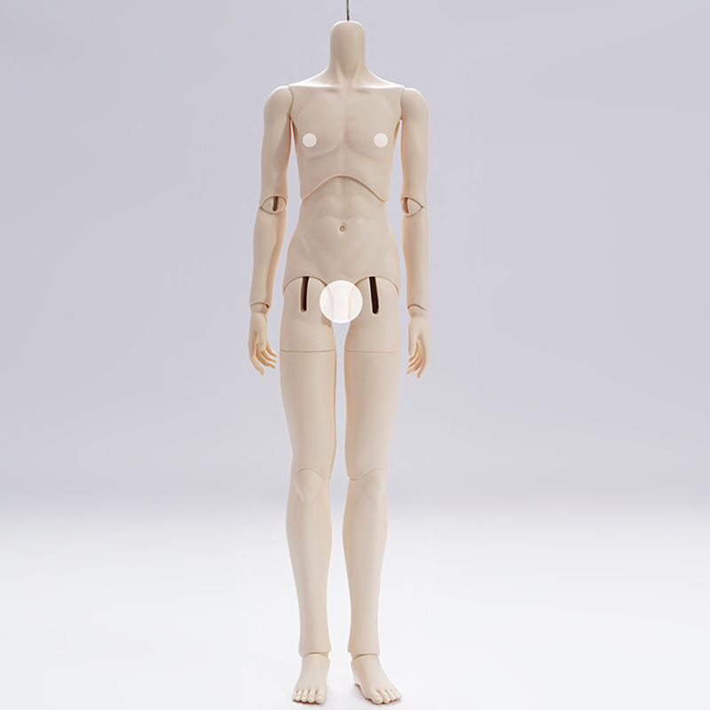 1/3 male body