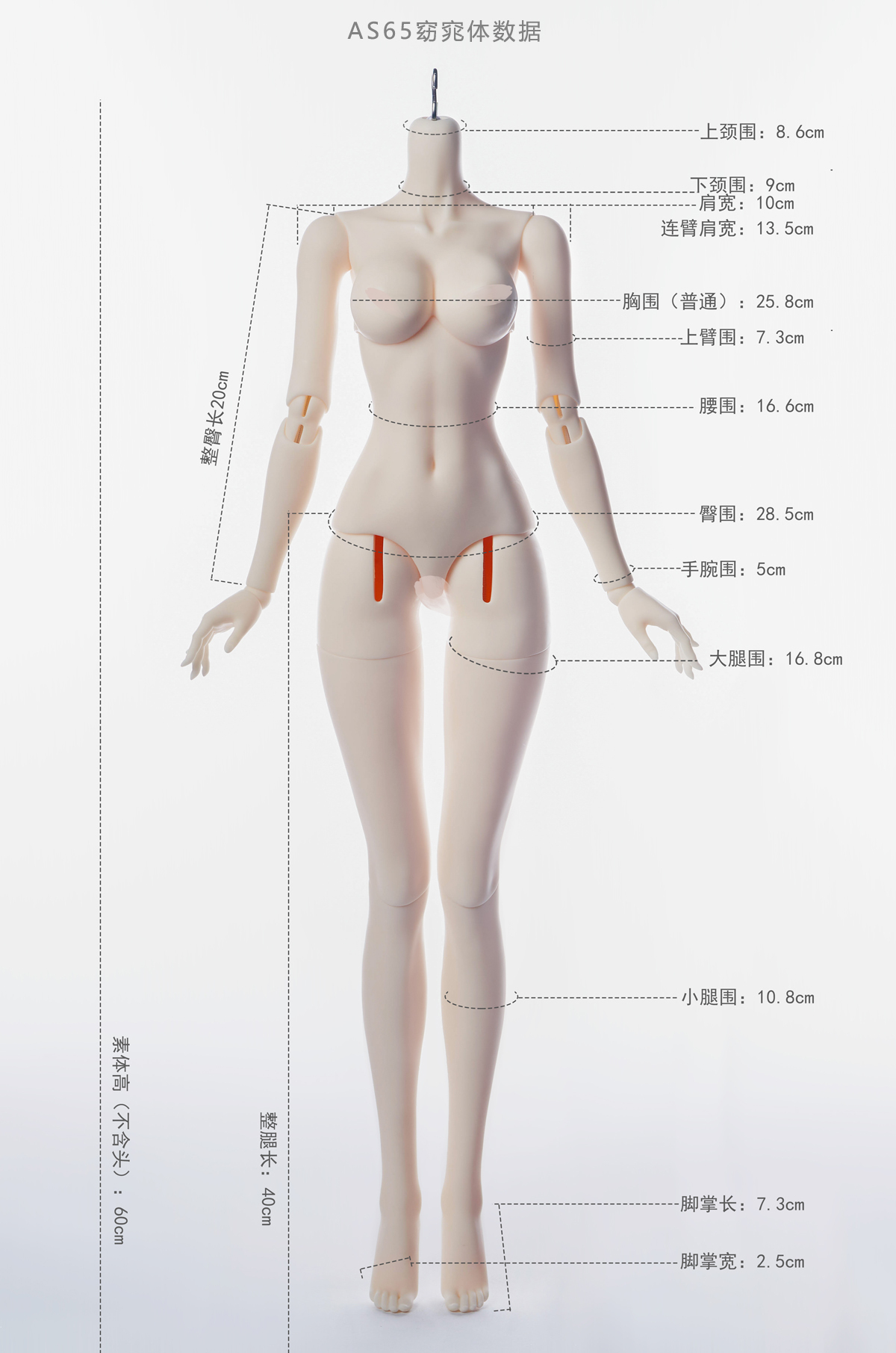 YT Body