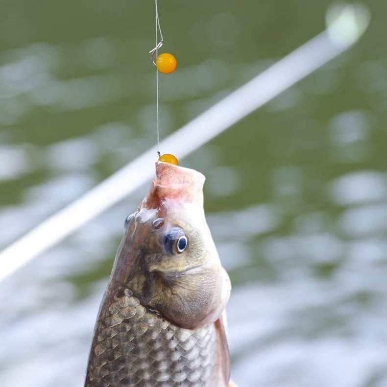 fly fishing bead kit