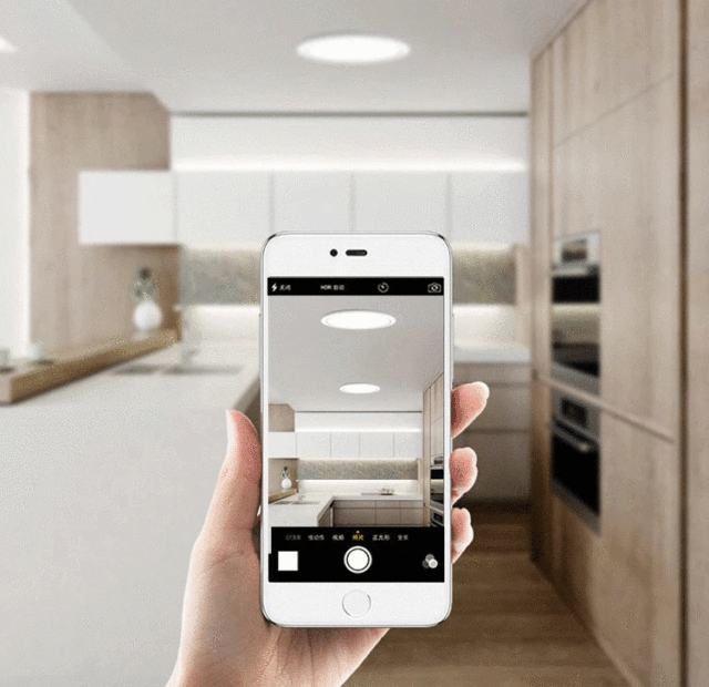 Ceiling-mounted