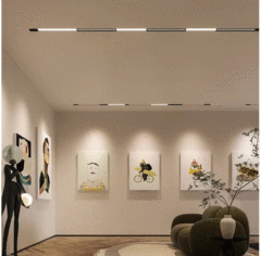 Magnetic track light