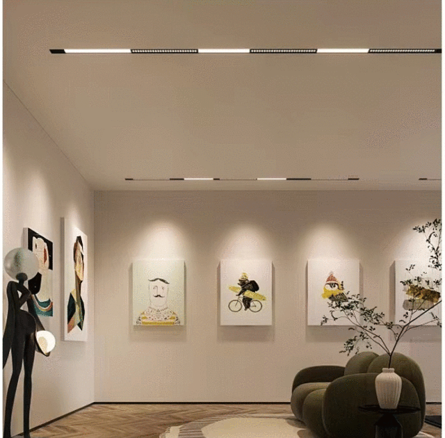 Magnetic track light