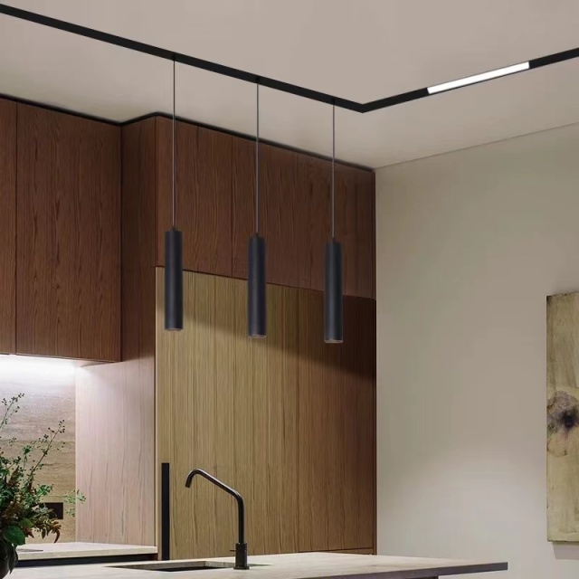 Magnetic track light