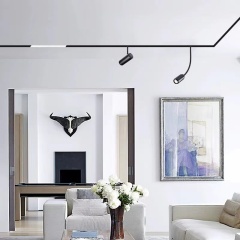 Magnetic track light