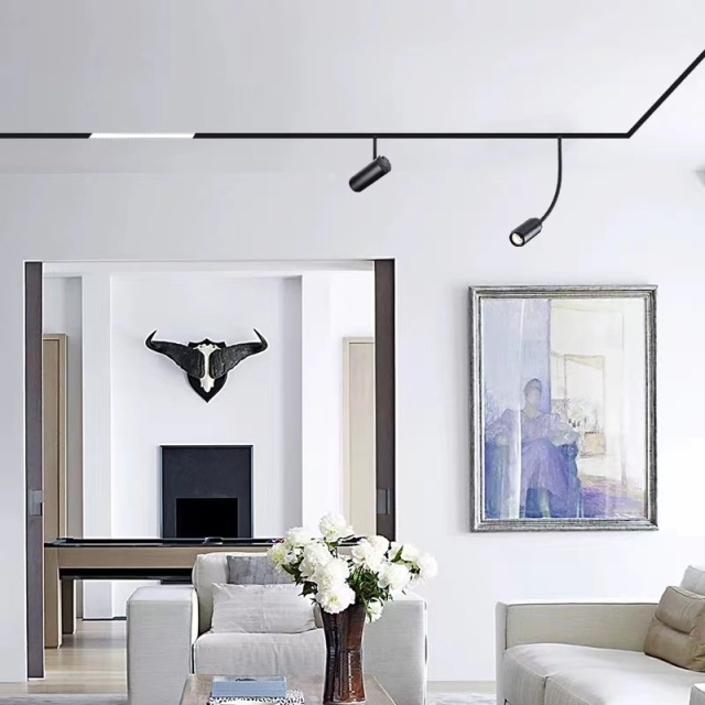 Magnetic track light