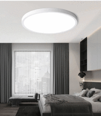 Ceiling-mounted