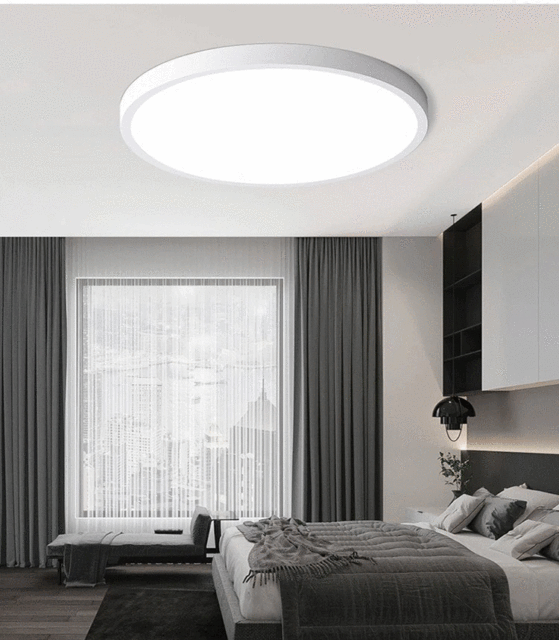 Ceiling-mounted
