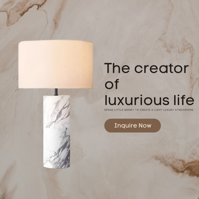 Baiyeco Modern Desk Lamp - For Use with Bulb Stone Base & Cloth Shade Worldwide Voltage Adapter