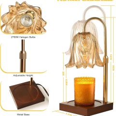 Baiyeco Modern Scented Light - USB Operation Wood Iron & Glass Construction for Aromatherapy Bulb