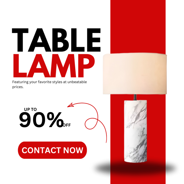 Baiyeco Modern Desk Lamp - For Use with Bulb Stone Base & Cloth Shade Worldwide Voltage Adapter