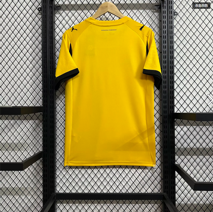 25-26 Dortmund home game