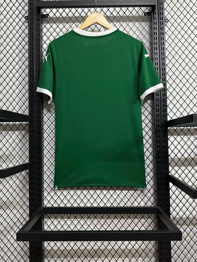 25-26 Palmeiras home game