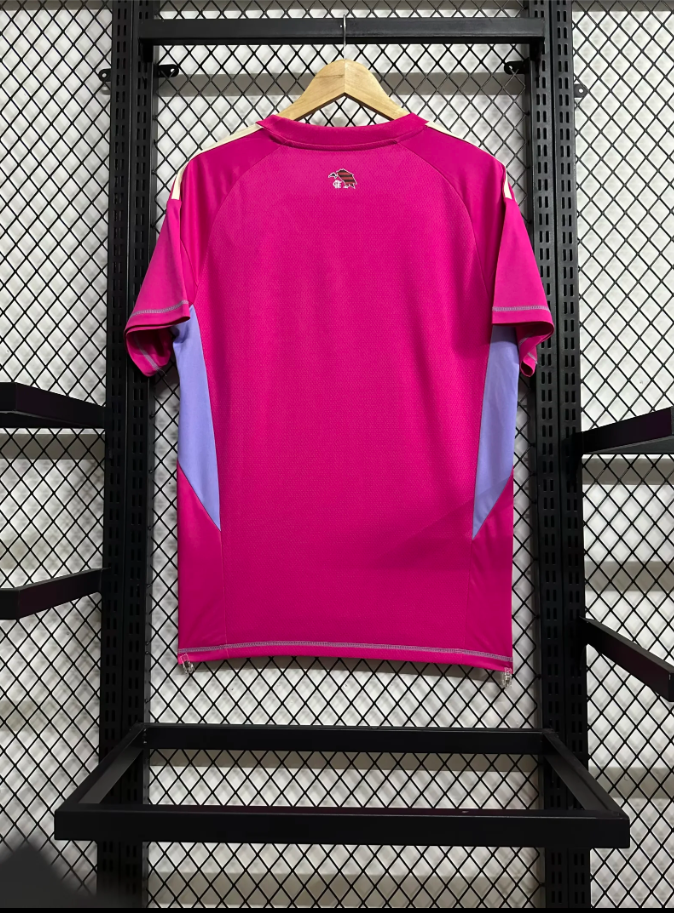 Flamengo goalkeeper 25-26