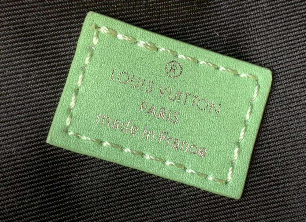 LV Backpack