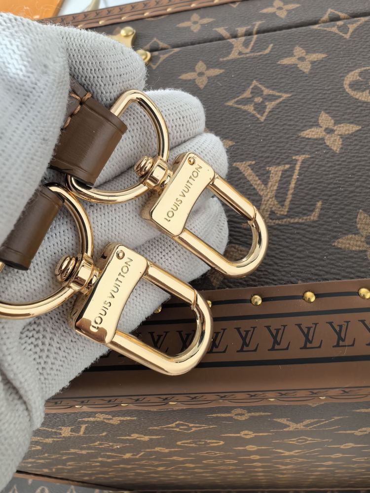 LV loop