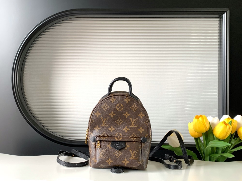 LV backpack mini