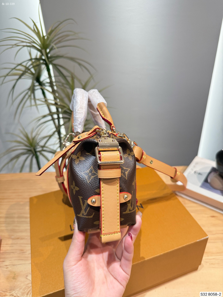 LV  Motorcycle Bag