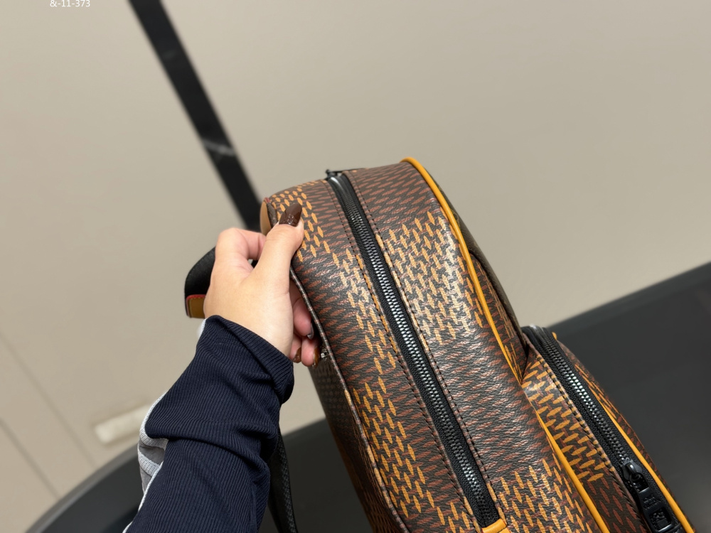 LV backpack