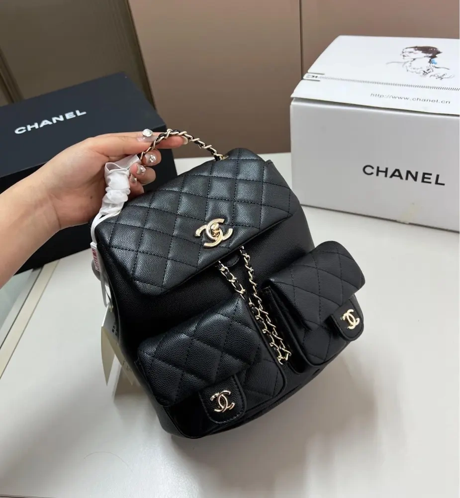 Chanel duma bag