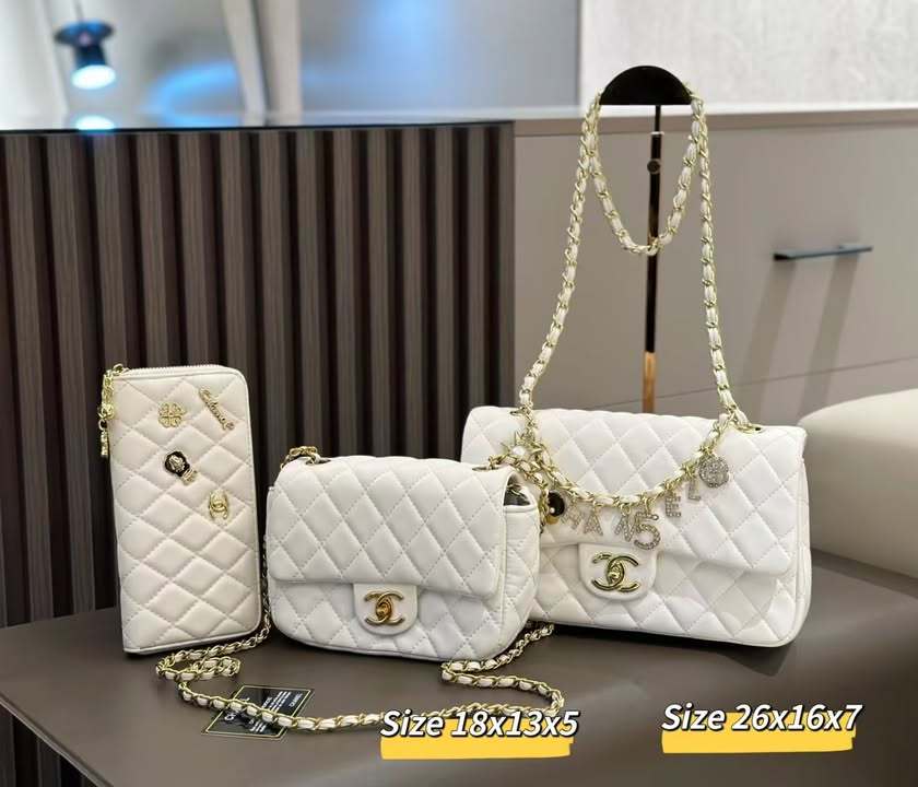 Chanel white bag set